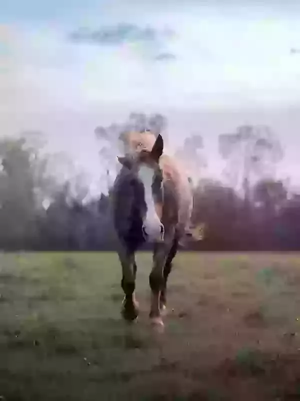 What If I Don't Want All The Ashes Returning?